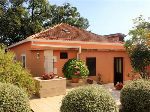 Holiday apartment - 3 persons -  - Ulica bana Josipa Jelacica - 20250 - Orebic