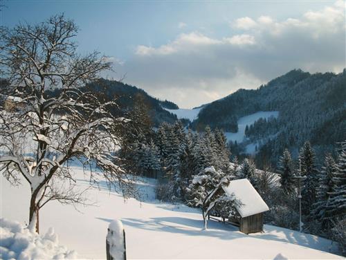 Bauernhof - 4 persons -  - Brunngraben - 4461 - Laussa