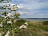 Billede 29 - Udsigt over vand