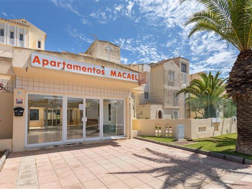 Ferienwohnung - 4 Personen -  - 04740 - Roquetas Del Mar