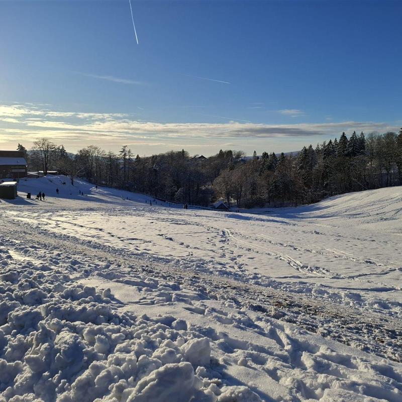 Ferielejlighed - 2 personer -  - Sudetenlandweg - 37444 - Sankt Andreasberg