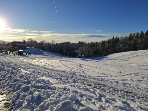 Objekt Nr.: 530-770750