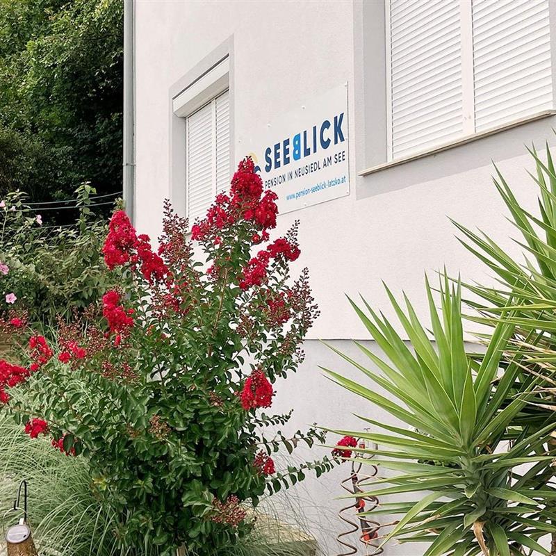  - 3 personer -  - Goldberggasse - 7100 - Neusiedl Am See