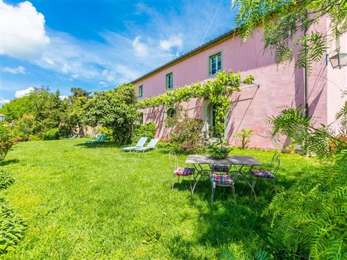 Semesterlägenhet - 4 personer -  - Castiglioncello - 57016