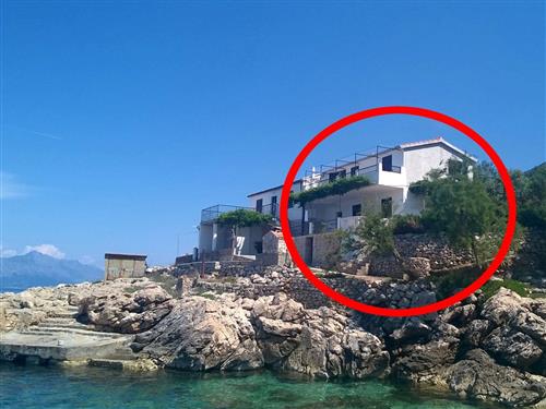 Holiday apartment - 4 persons -  - Gdinj 263, Uvala Virak - 21467 - Gdinj-Virak