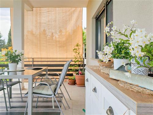 Ferieleilighet - 4 personer -  - Novigrad (Istra) - 52466