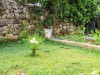 Billede 19