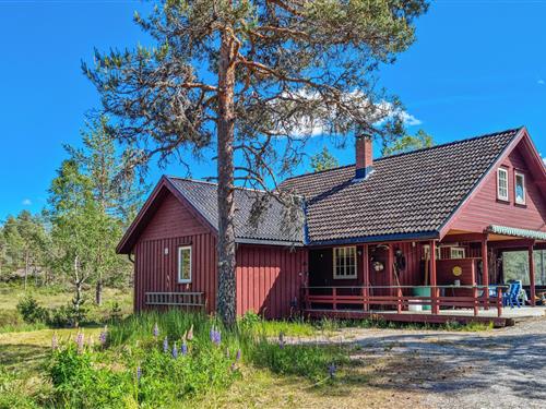 Holiday Home/Apartment - 14 persons -  - Strømstad - Evje/Hornes - 4737 - Hornnes