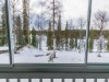 Bild 16 - Inde