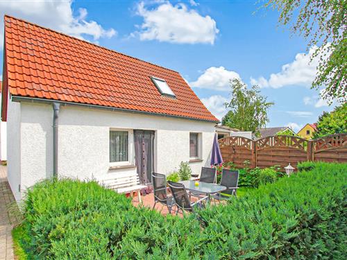Sommerhus - 4 personer -  - Dorfstraße - 18317 - Saal Ot Hessenburg