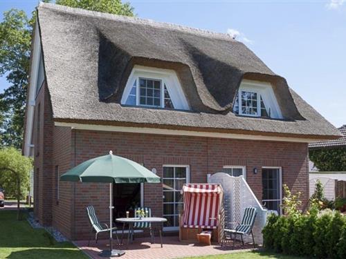 Sommerhus - 6 personer -  - Weidenstraße - 18374 - Zingst