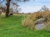 Billede 26 - Grund