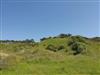 Image 4 - Activity