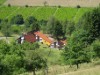 Bild 15