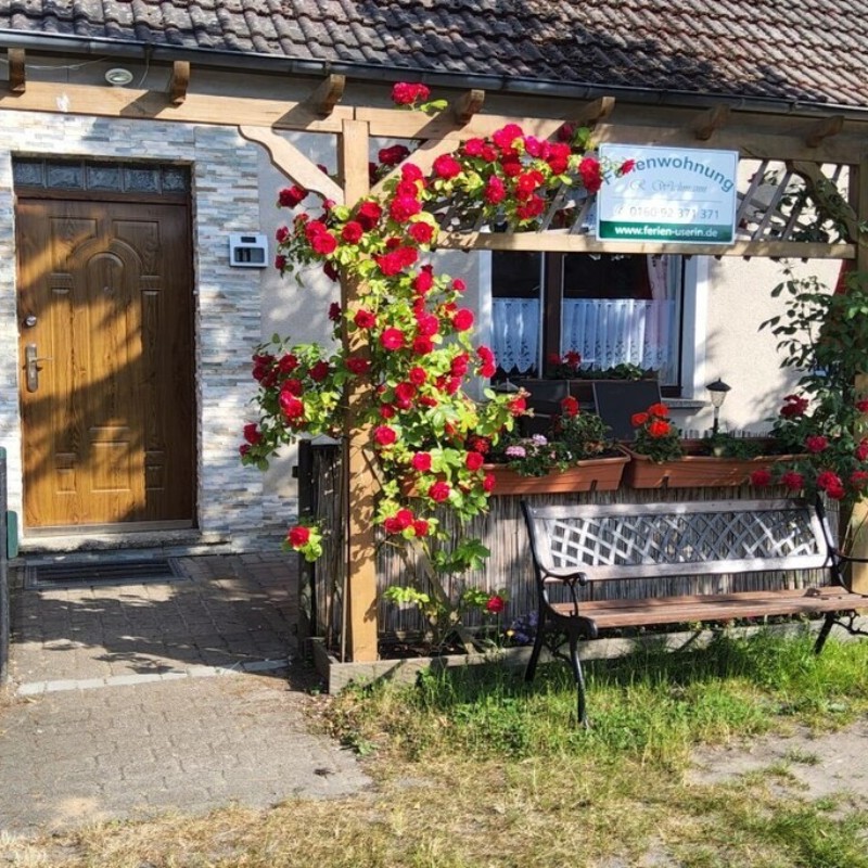 Sommerhus - 5 personer -  - 17237 - Userin