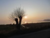 Bild 17