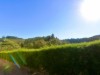 Bild 38