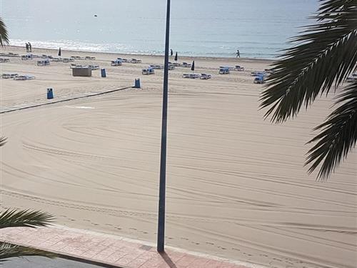 Sommerhus - 4 personer -  - calle alfaz del pi - 03502 - Benidorm