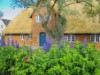 Billede 13