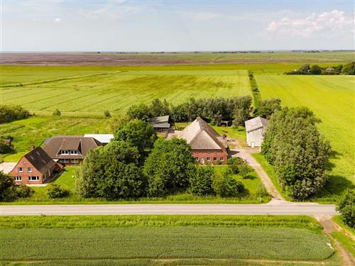 Ferieleilighet - 9 personer -  - Koogstraße - 25881 - Tümlauer Koog