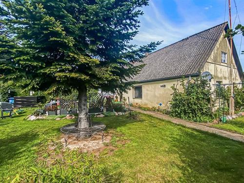 Feriehus - 4 personer -  - Ihlenfeldstraße - 17429 - Reetzow/Usedom