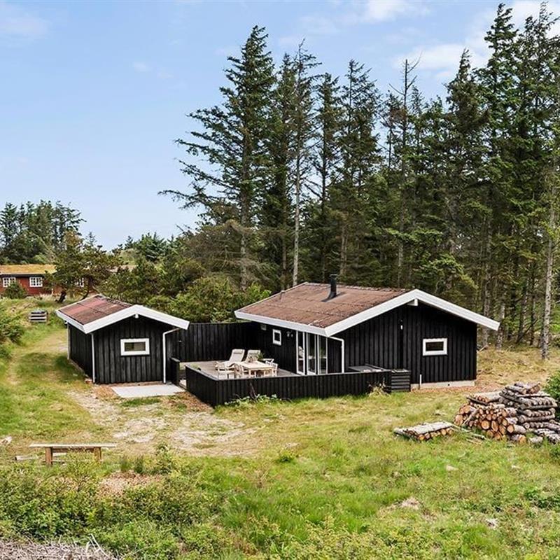 Ferienhaus - 6 Personen -  - Ørnebjergvej - 9493 - Saltum