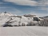 Bilde 185