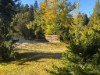 Bilde 17 - Ude