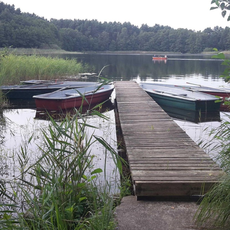Sommerhus - 4 personer -  - Rübezahlweg - 17279 - Retzow-Kastaven