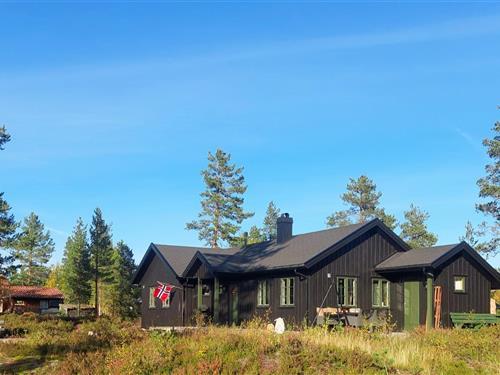Holiday home - 6 persons -  - Bjorhustjønn - Fyresdal/Birtevann - 3870 - Fyresdal