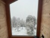 Bild 42