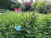 Bild 22