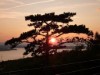 Bild 29 - Aussen