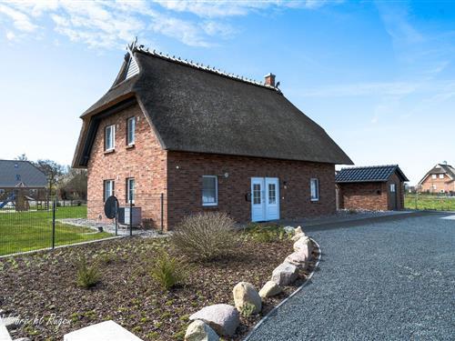 Sommerhus - 8 personer -  - Üselitzer Wiek - 18574 - Mellnitz-Hof