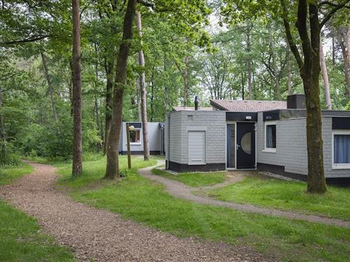 Bungalow - 2 personer -  - 3775KN - Kootwijk