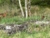 Bild 32 - Gebiet