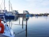 Bild 31 - Ude