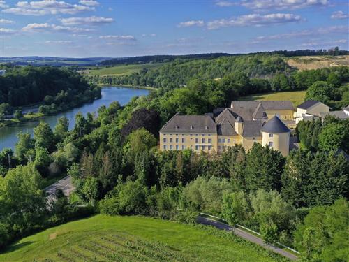 Ferieleilighet - 1 person -  - An der B - 54439 - Palzem