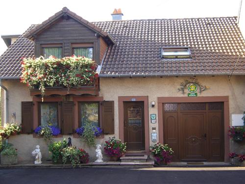 Hytte - 5 personer -  - 57850 - Haselbourg