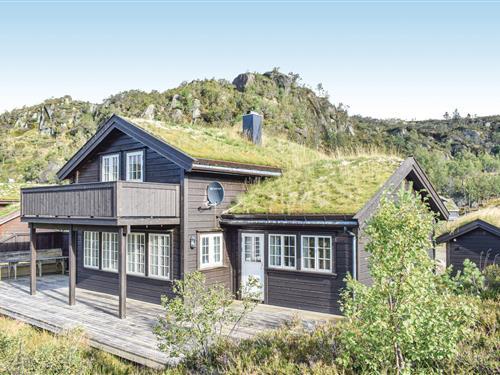 Sommerhus - 10 personer -  - Bergehomman - Åseral/Ljosland - 4540 - Åseral