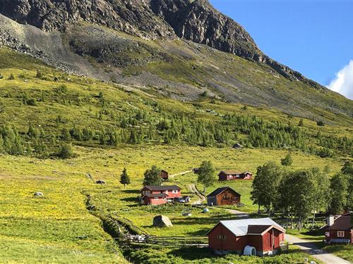 Feriehus / leilighet - 8 personer -  - Skifervegen - 3560 - Hemsedal