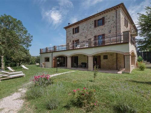 Ferielejlighed - 6 personer -  - Strada Renacci (SP - 05020 - Avigliano Umbro