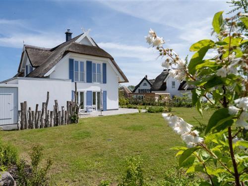 Sommerhus - 8 personer -  - Am Hafen - 18574 - Puddemin