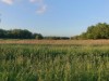 Image 38