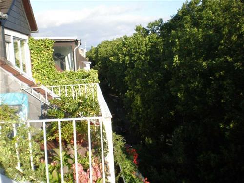 Ferielejlighed - 3 personer -  - Hindenburgstraße - 55118 - Mainz