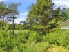 Billede 35 - Grund