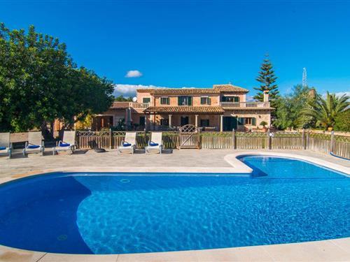 Sommerhus - 12 personer -  - Diseminado Diseminados Var - Son Nadal, Costitx - 07144 - Costitx