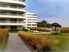 Bilde 5