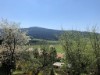 Bild 17