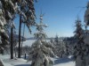 Bild 23 - Ude